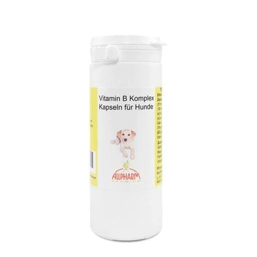 VITAMIN B COMPLEX for dogs UK